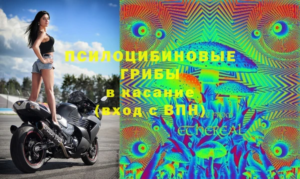 гашиш Михайлов