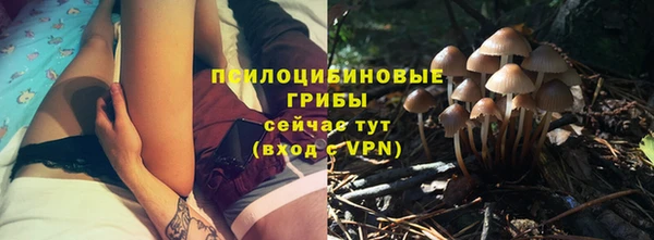 гидропоника Михайловка
