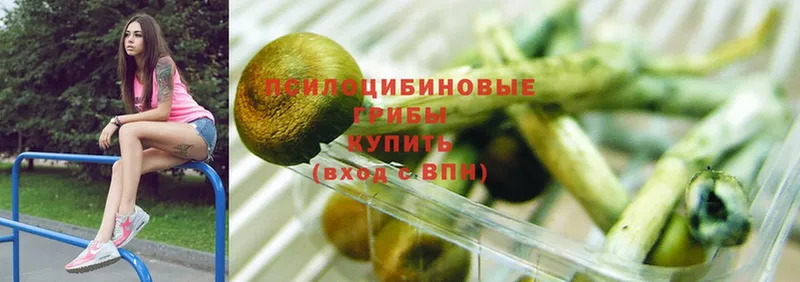 shop наркотические препараты  Белоярский  Галлюциногенные грибы MAGIC MUSHROOMS  купить закладку 